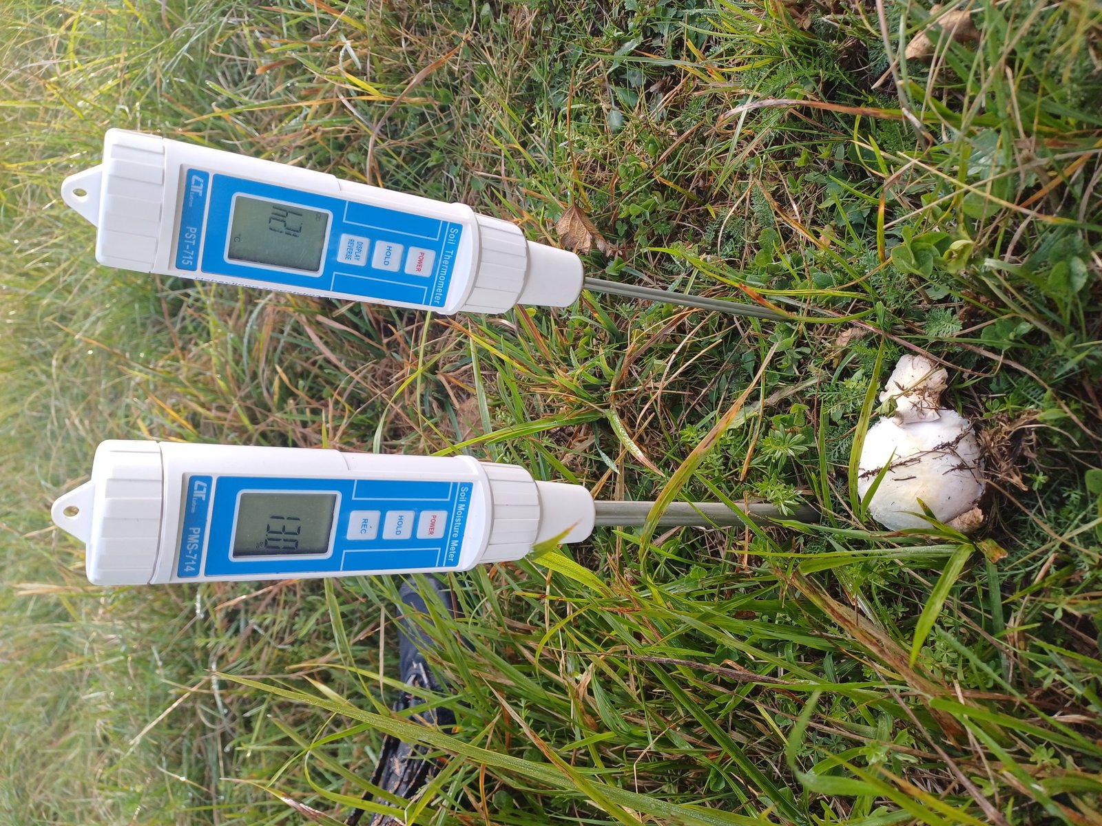 Field sampling for project