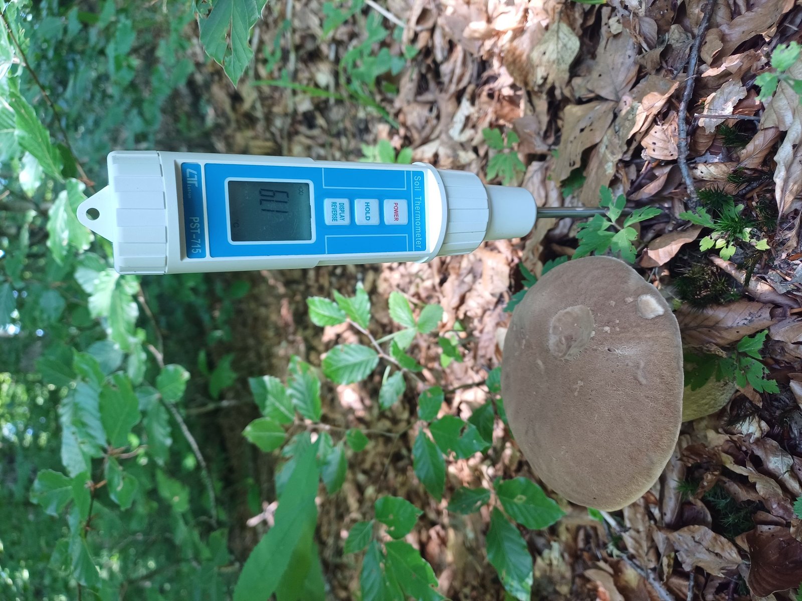 Field sampling for project