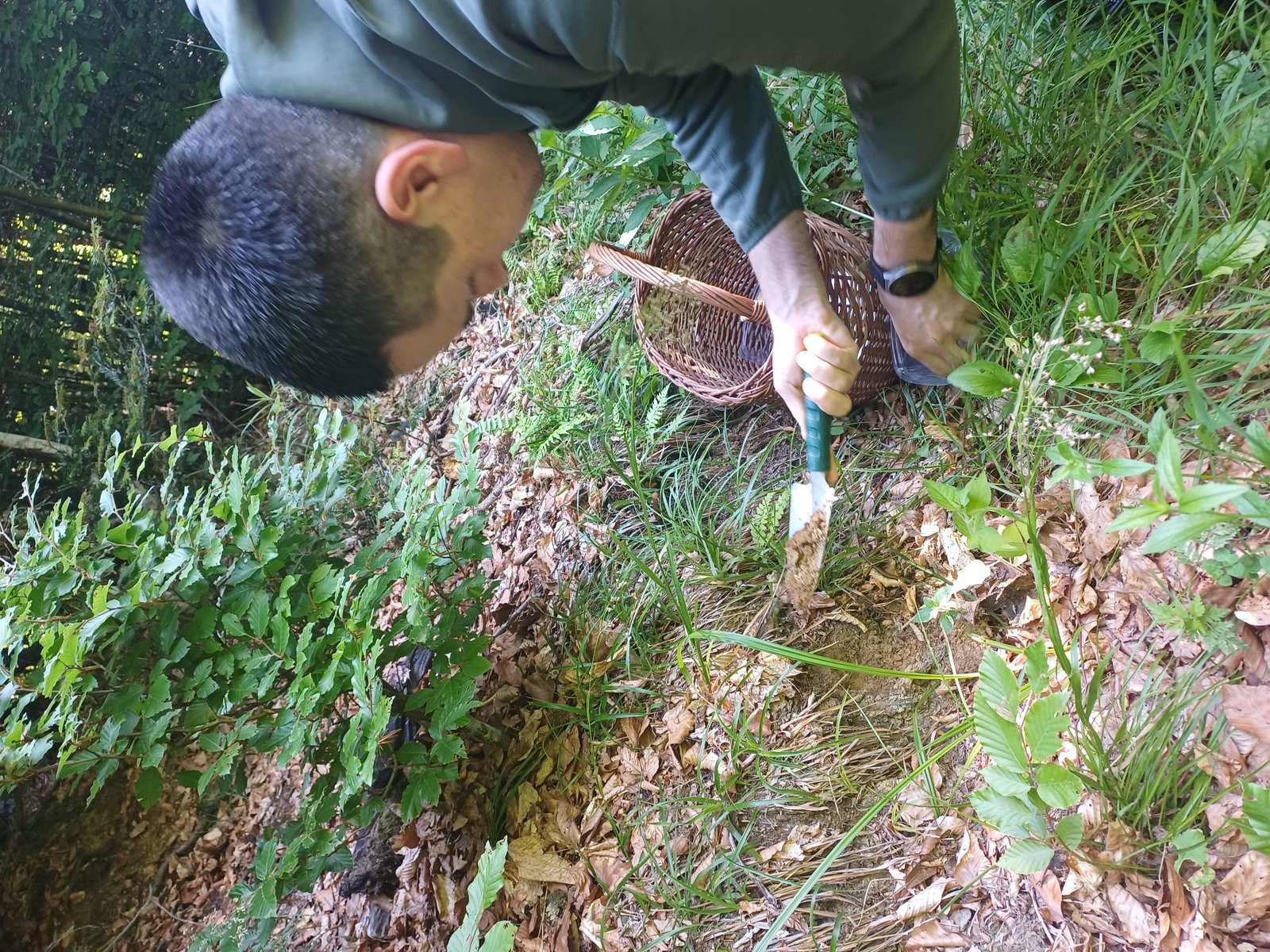 Field sampling for project