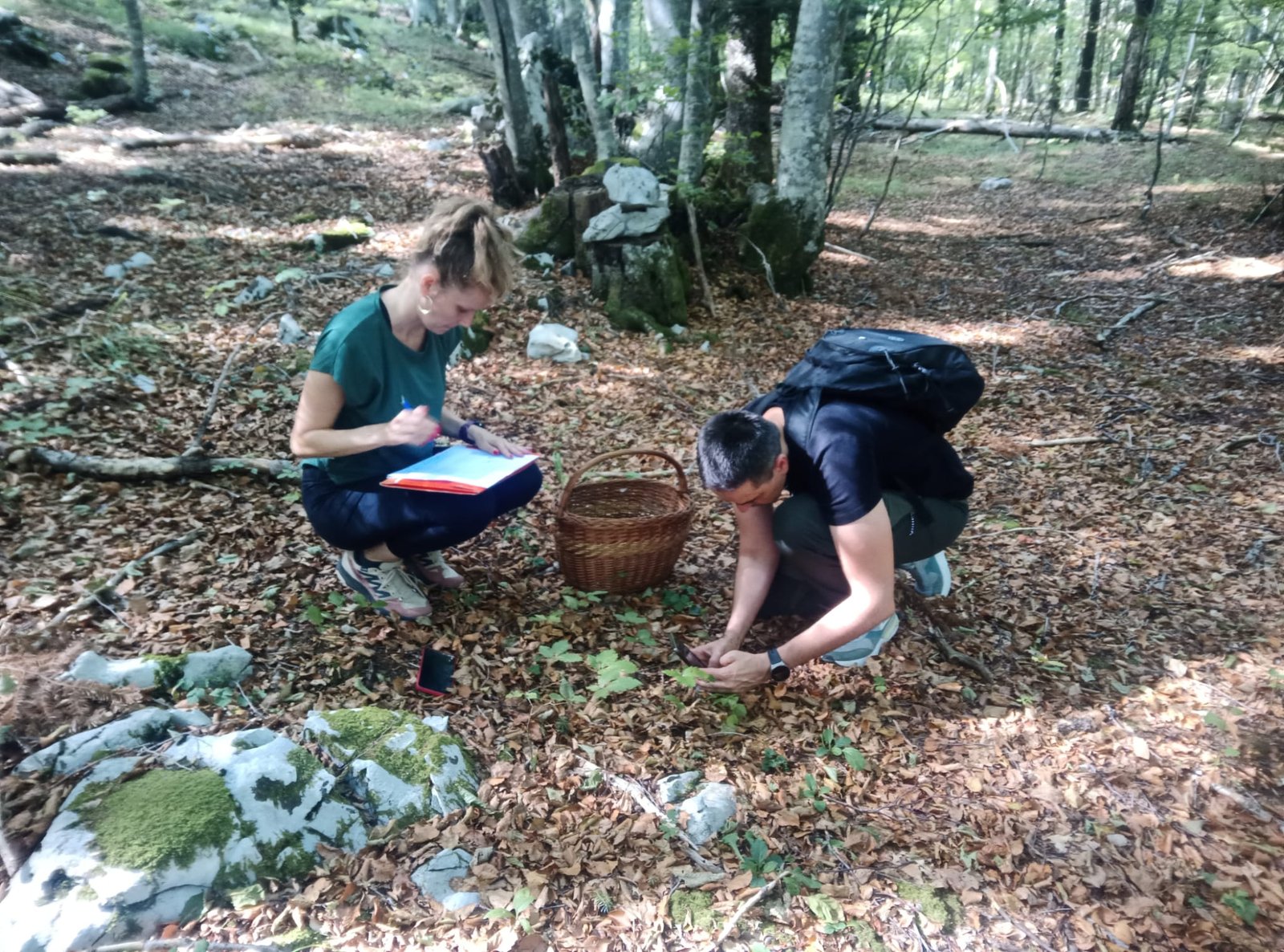 Field sampling for project