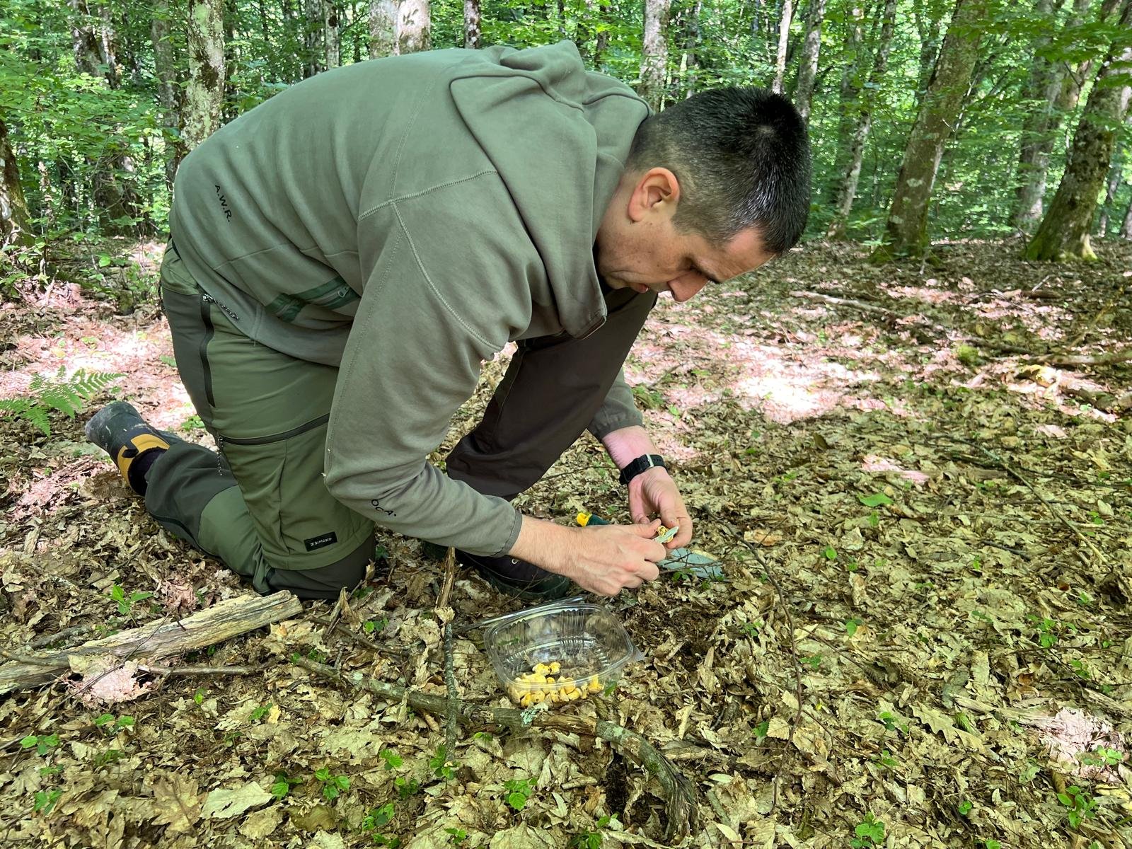 Field sampling for project