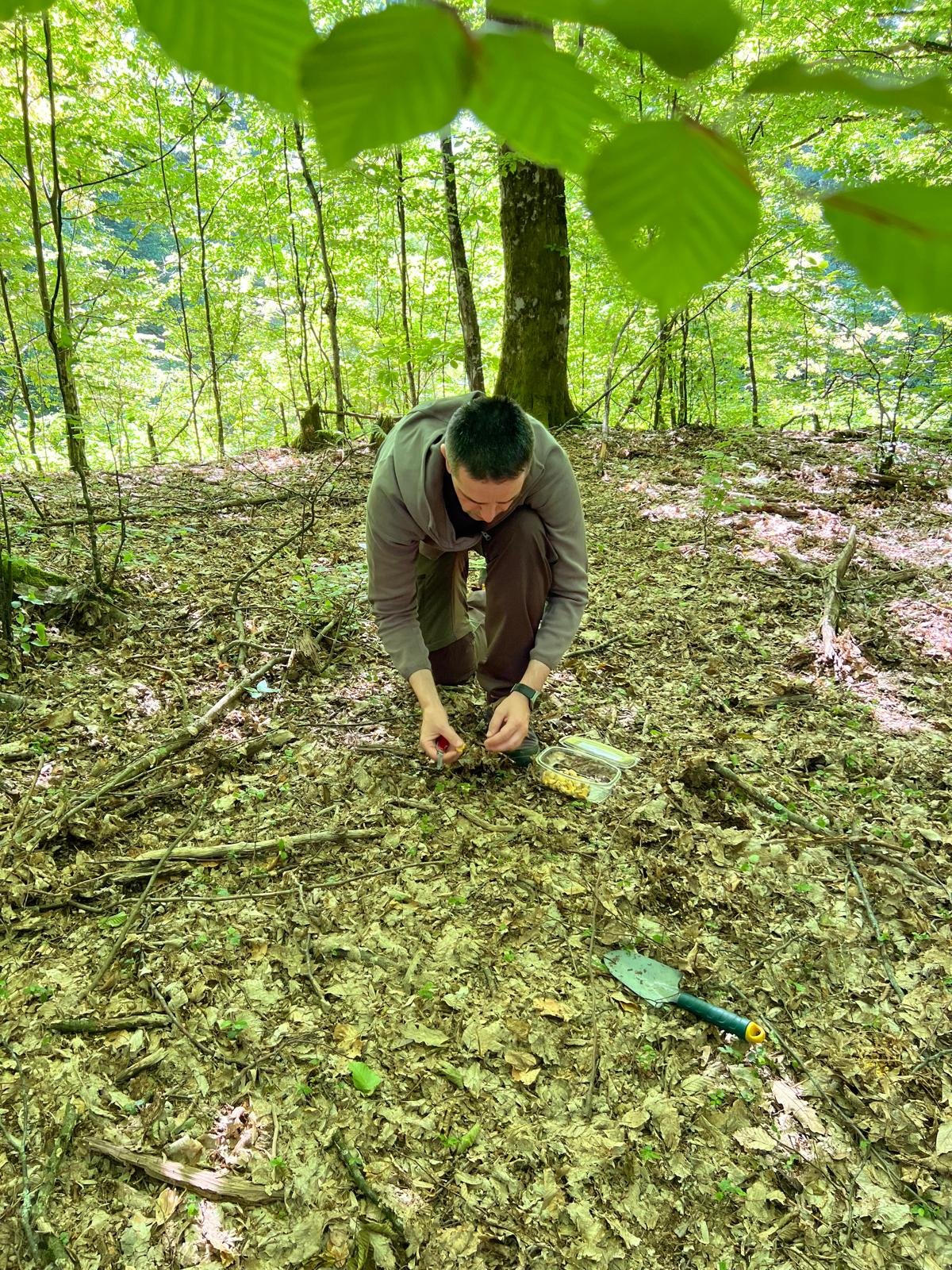 Field sampling for project