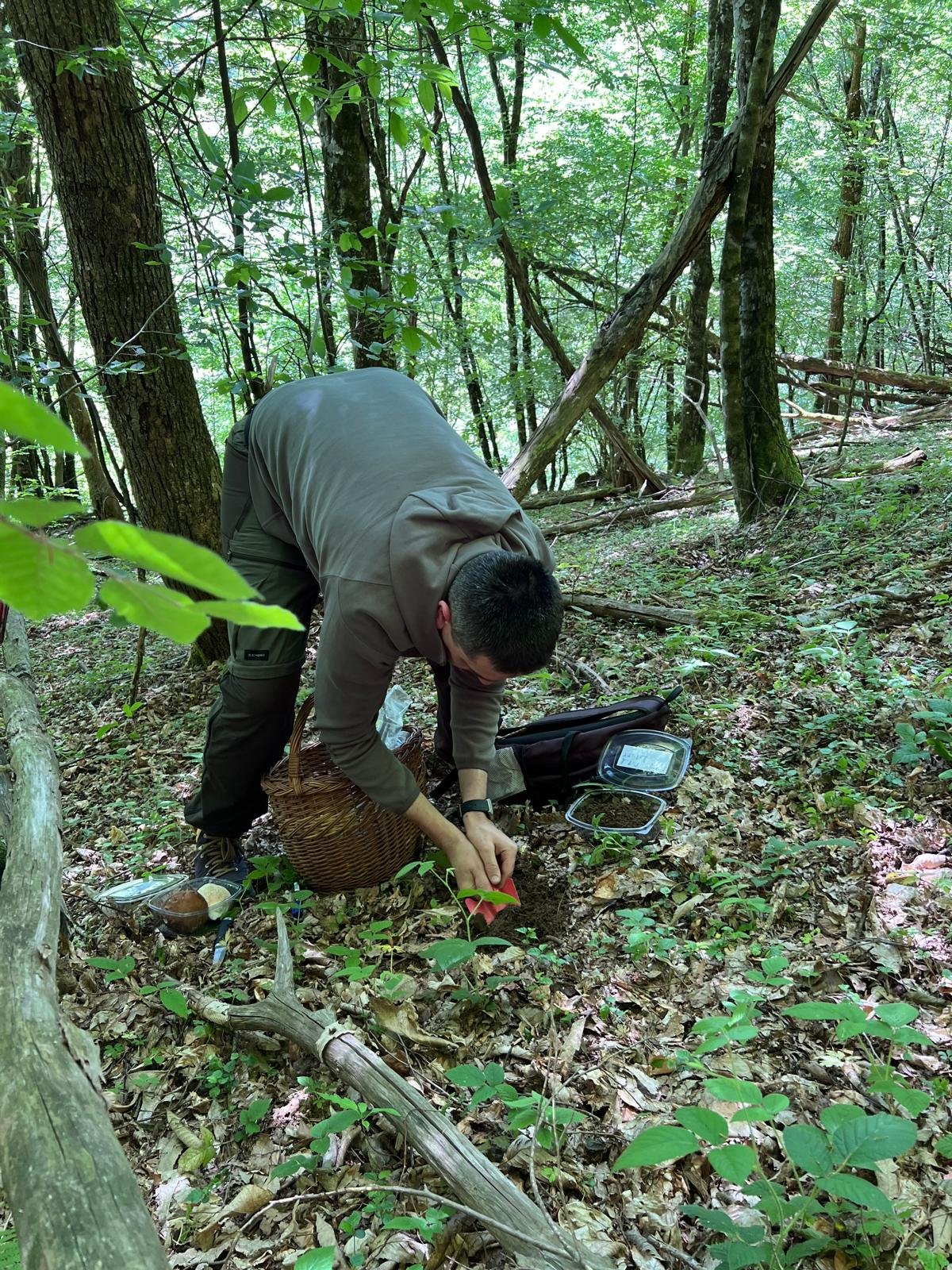 Field sampling for project