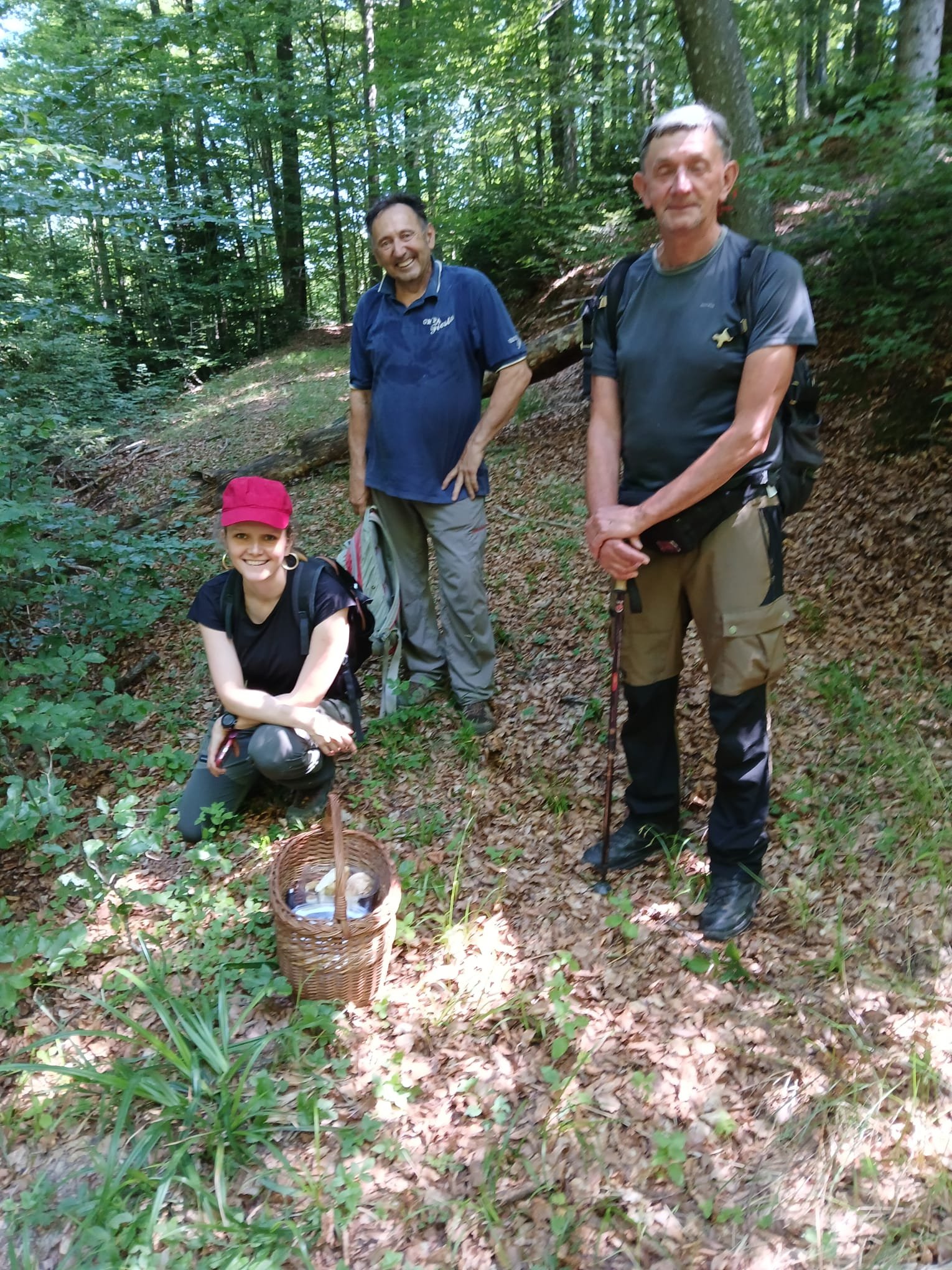 Field sampling for project