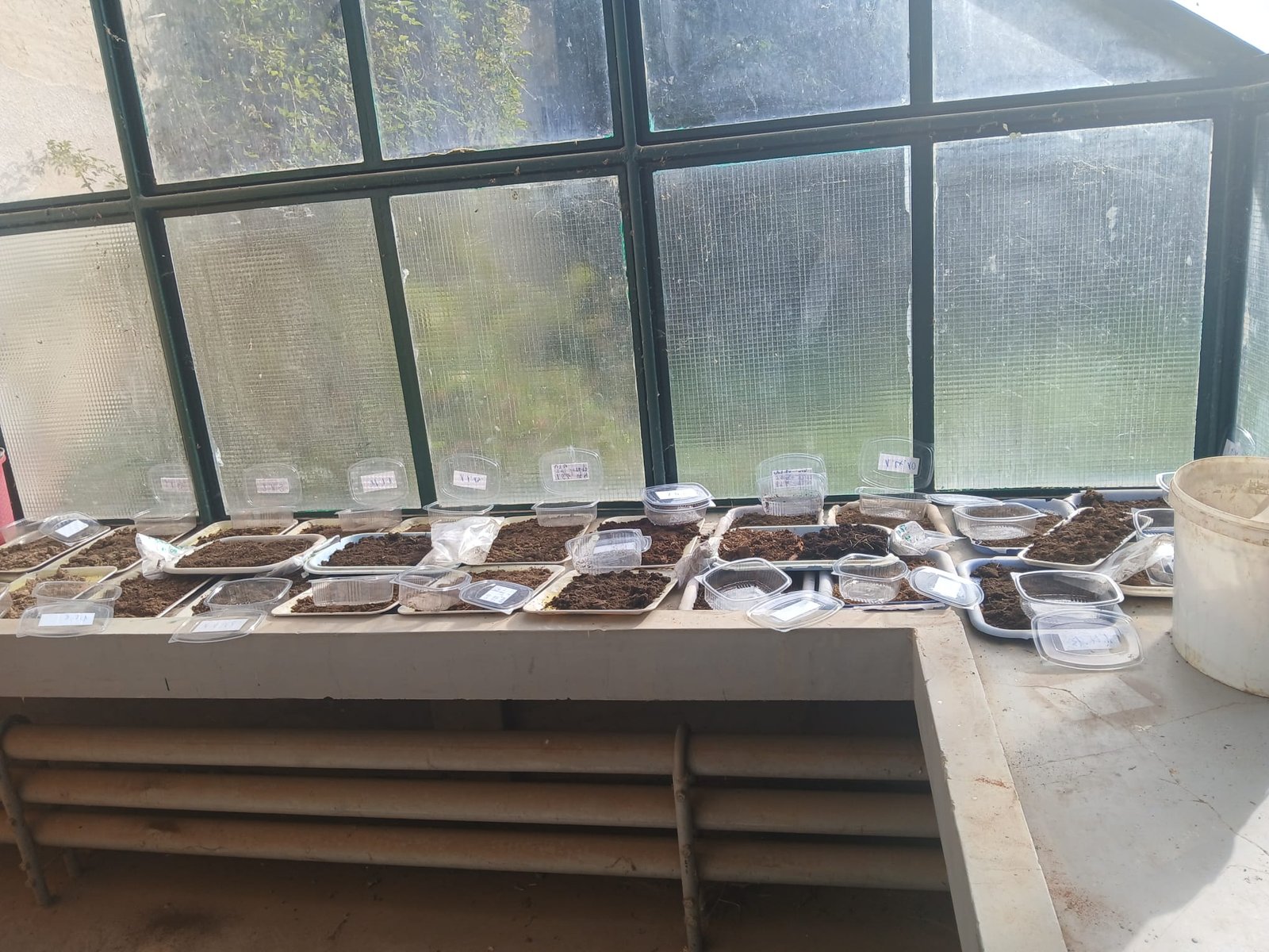 Lab analysis of soil samples