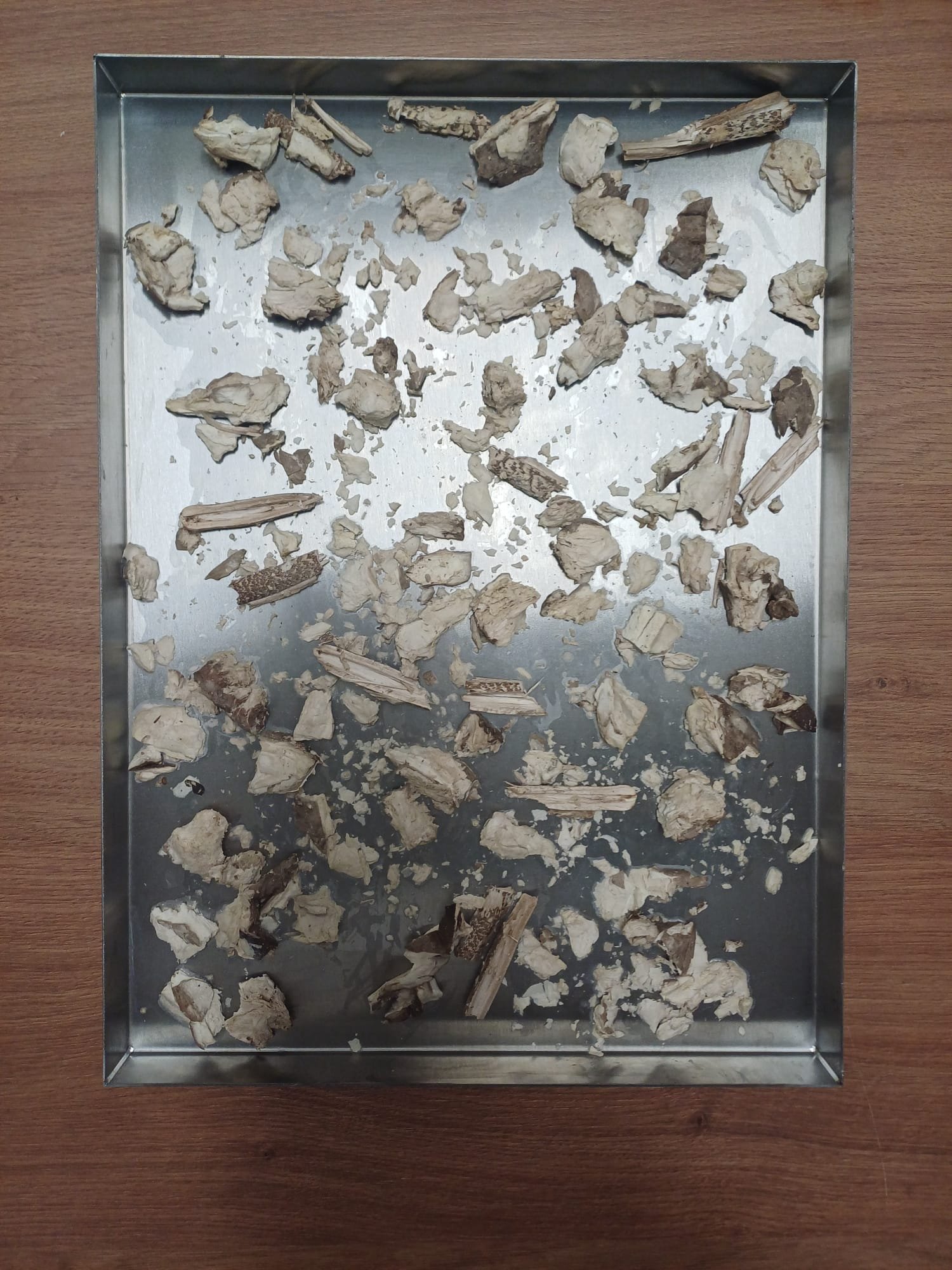 Lab analysis of mushroom samples