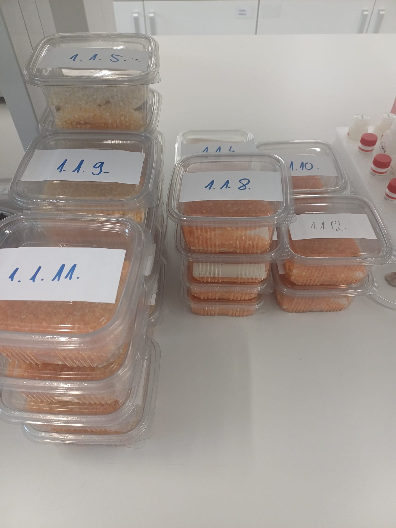 Lab analysis of mushroom samples